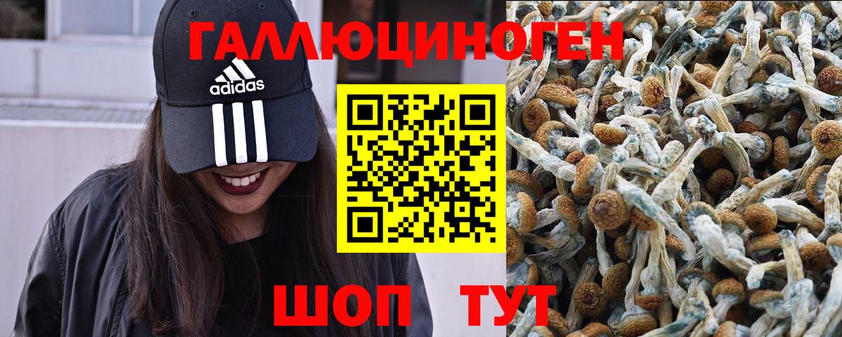 Псилоцибиновые грибы MAGIC MUSHROOMS  Вход с VPN  Галлюциногенные грибы MAGIC MUSHROOMS  Тюмень 
